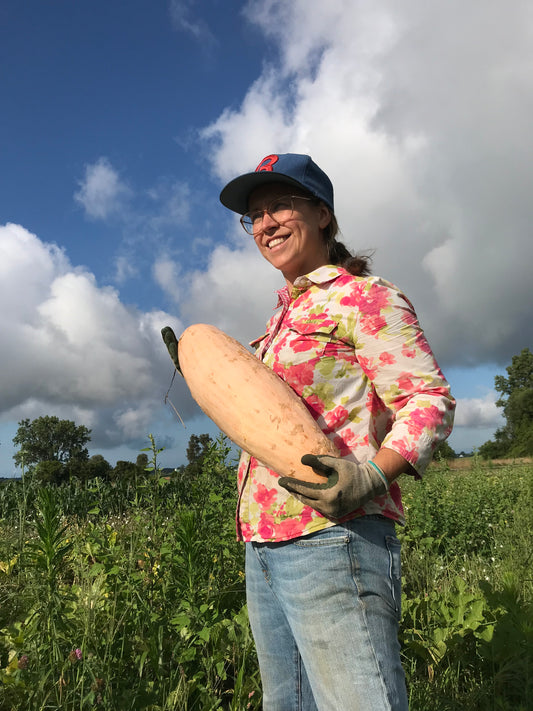 Squash - Georgia Candy Roaster