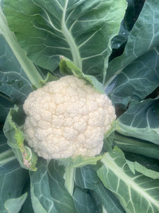 Cauliflower