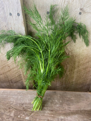 Herbs - Dill