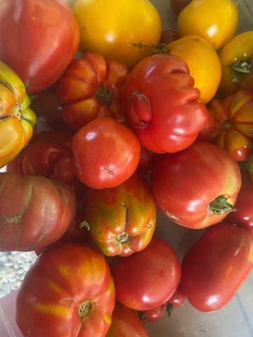 Tomatoes - 2 lb Variety