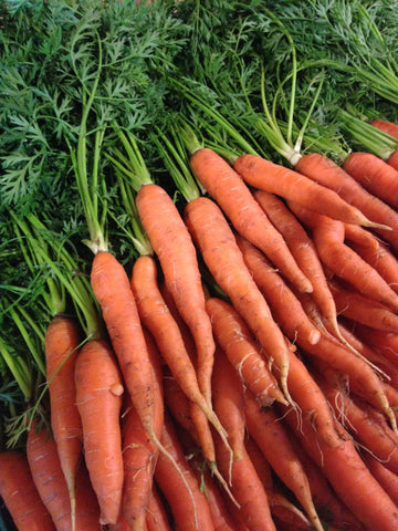 Carrots - bunch