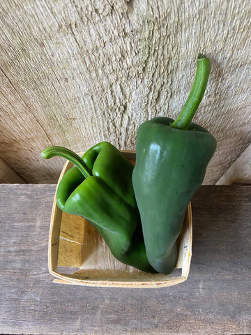 Peppers - Poblano (3)