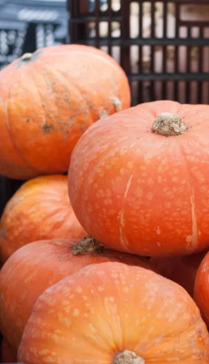 Squash - Sunshine Kabocha