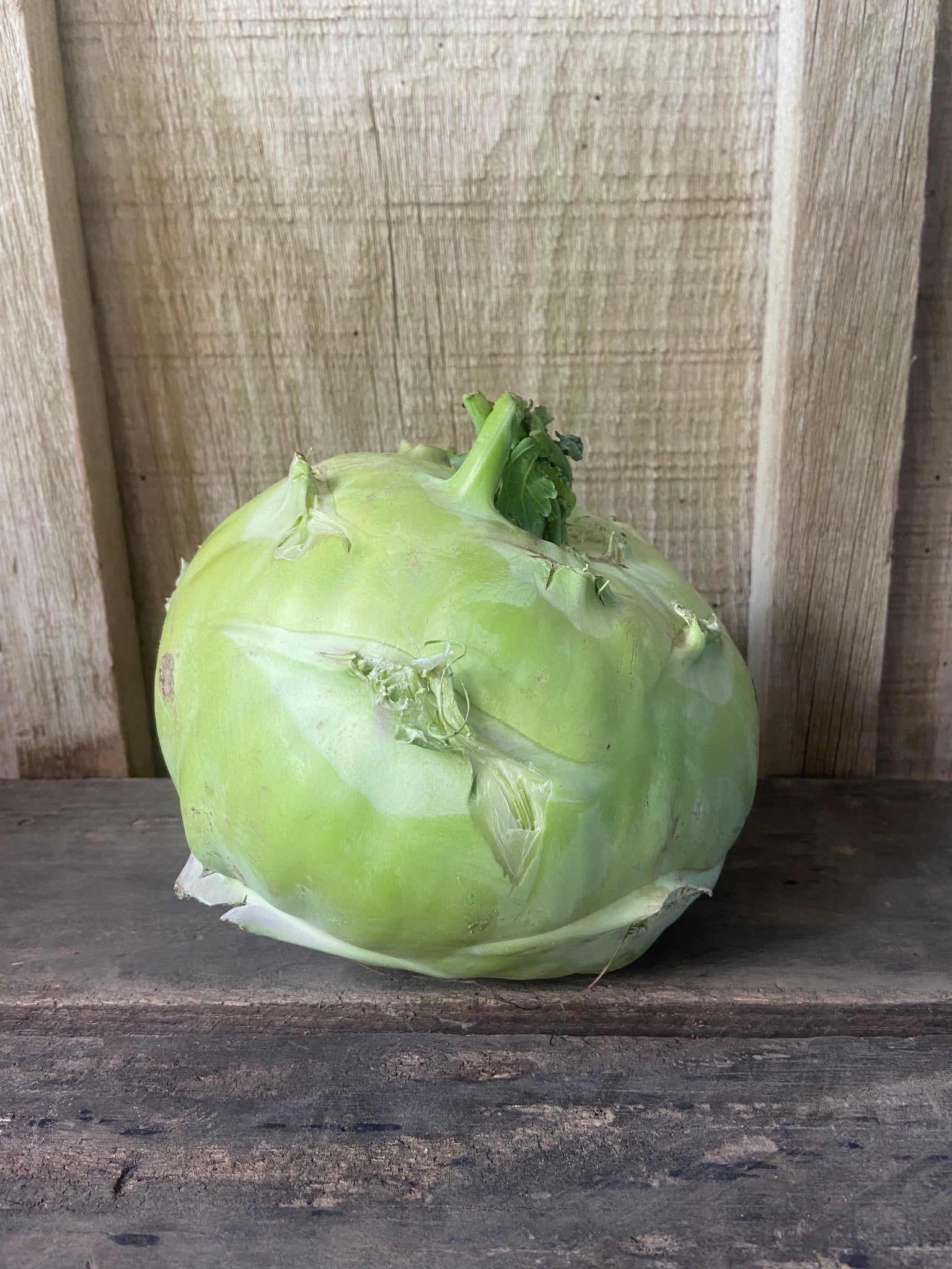 Kohlrabi - Kossac