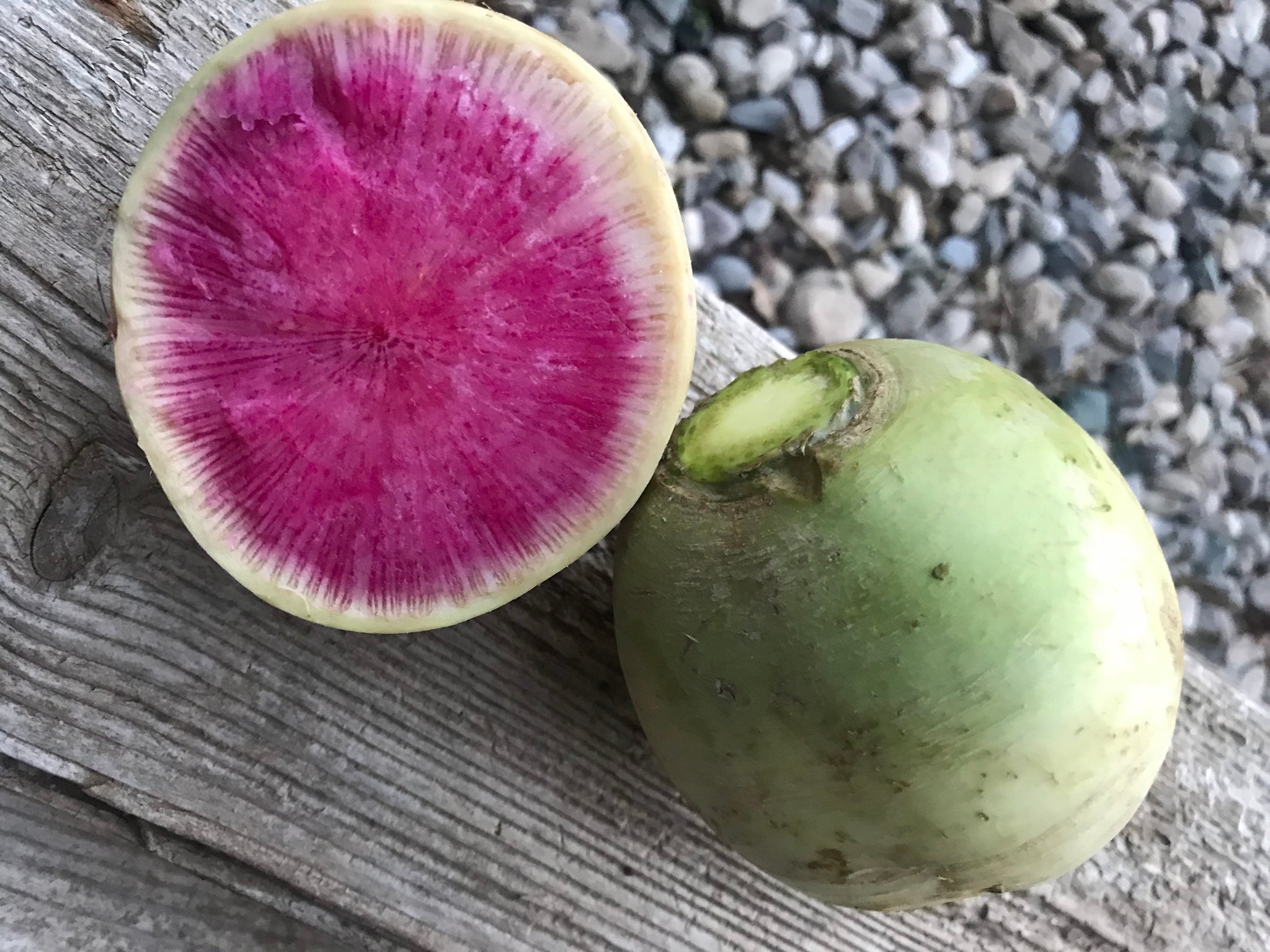 Watermelon Radish